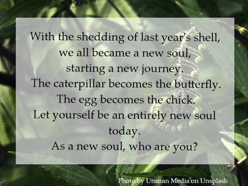 With the shedding of last year's shell, we are all starting a new journey.
