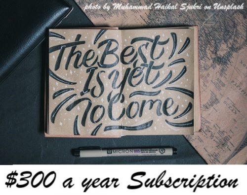 365 Days Annual Subscription