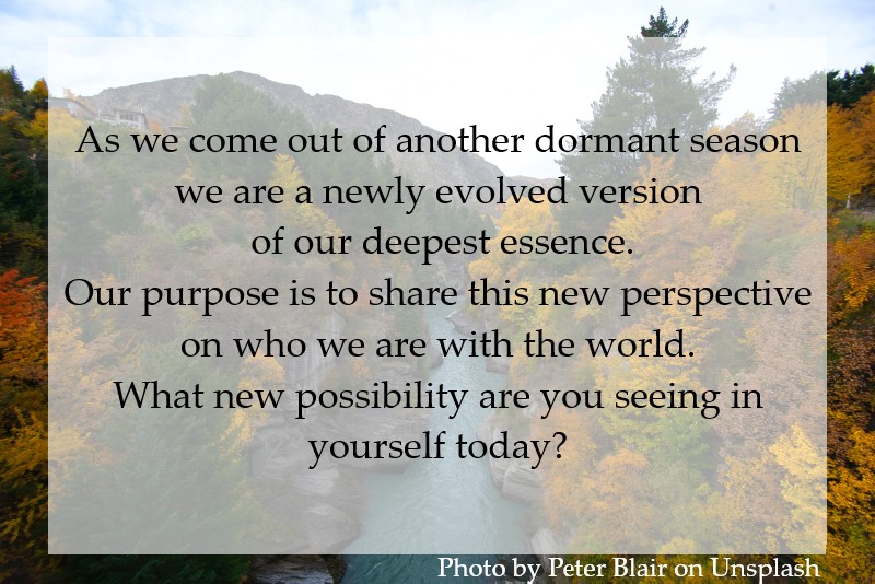 As we come out of another dormant season we are a newly evolved version of our deepest essence.