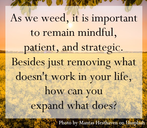 As we weed, it is important to remain mindful, patient, and strategic.