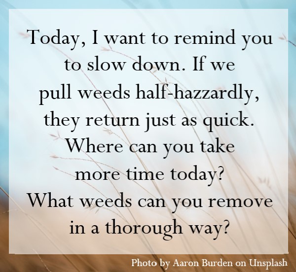 What weeds can you remove thoroughly?