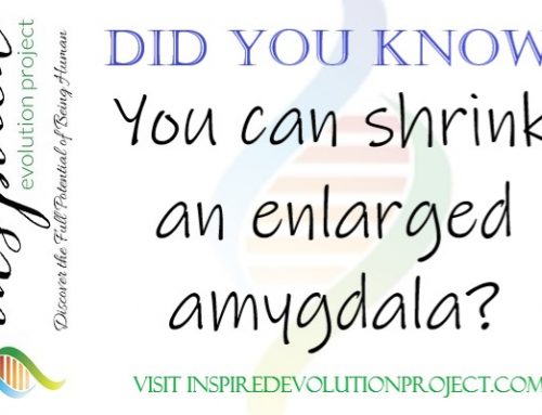 Did you know you can shrink an enlarged amygdala?